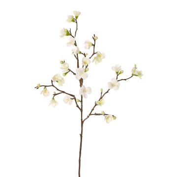 Deko Apfelblütenzweig SADAKA, blühend, creme, 70cm, Ø3-4cm Deko Apfelblütenzweig SADAKA, blühend, creme, 70cm, Ø3-4cm