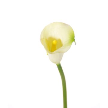 Textilblume Calla CHIDORA, creme, 55cm, 4,5x5,5cm