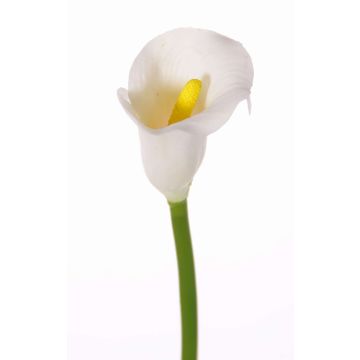Textilblume Calla CHIDORA, weiß, 55cm, 4,5x5,5cm Textilblume Calla CHIDORA, weiß, 55cm, 4,5x5,5cm