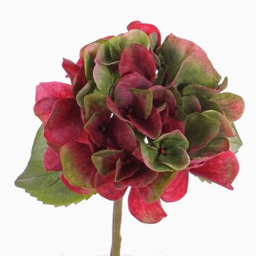 Künstliche Hortensie CHIDORI, rot-grün, 30cm, Ø13cm Künstliche Hortensie CHIDORI, rot-grün, 30cm, Ø13cm