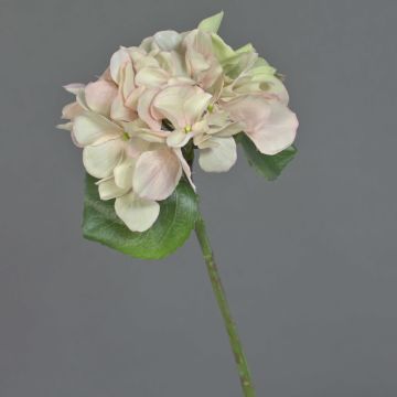 Künstliche Hortensie CHIDORI, creme-rosa-grün, 30cm, Ø13cm