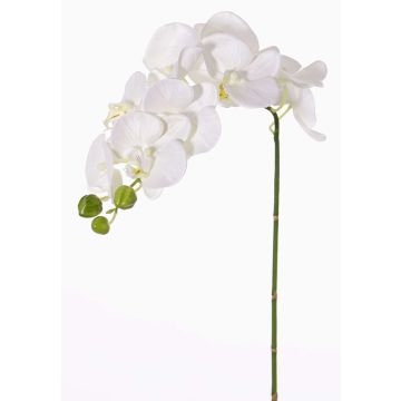 Künstlicher Phalaenopsis Orchideen Zweig GALINA, weiß, 60cm, Ø6-8cm