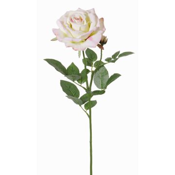 Deko Rose JANINE, creme-pink, 70cm, Ø12cm Deko Rose JANINE, creme-pink, 70cm, Ø12cm