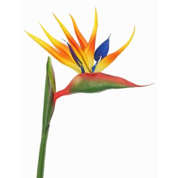 Kunst Papageienblume LATIFA, orange-violett, 90cm, 17x20cm