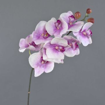 Kunst Phalaenopsis Orchideen Zweig ENISA, rosa-weiß, 60cm, Ø7-8cm