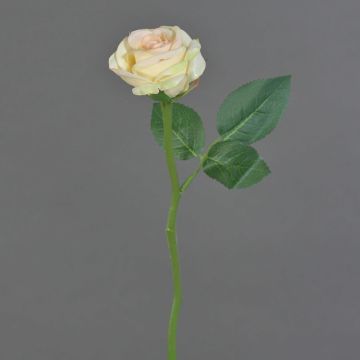 Kunstblume Rose GABI, creme-rosa, 30cm, Ø6cm