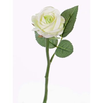 Kunstblume Rose GABI, creme-grün, 30cm, Ø6cm Kunstblume Rose GABI, creme-grün, 30cm, Ø6cm