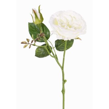 Künstliche Kohl-Rose JUDY, creme, 40cm, Ø9cm Künstliche Kohl-Rose JUDY, creme, 40cm, Ø9cm