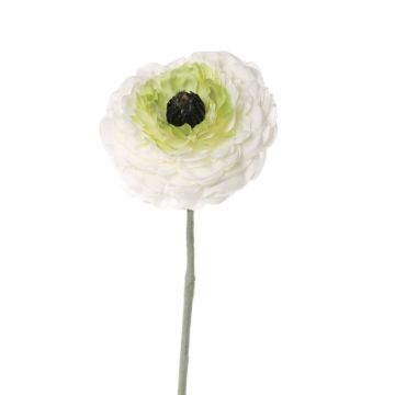 Deko Ranunkel ALIMA, creme-grün, 35cm, Ø8cm