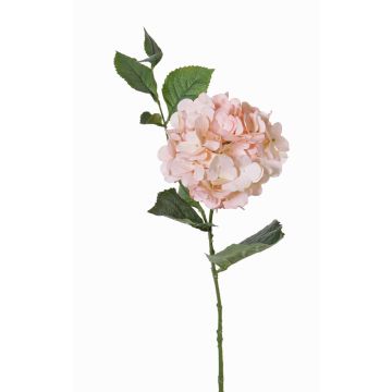 Kunst Hortensie ASUKA, rosa, 80cm, Ø15cm Kunst Hortensie ASUKA, rosa, 80cm, Ø15cm