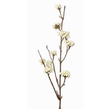 Deko Liebesperlenstrauch Zweig LARINA mit Beeren, creme, 50cm