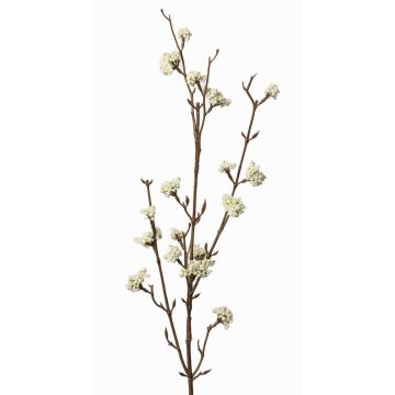 Deko Liebesperlenstrauch Zweig LARINA mit Beeren, creme, 70cm