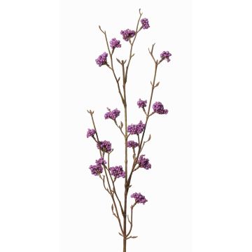 Deko Liebesperlenstrauch Zweig LARINA mit Beeren, violett, 70cm