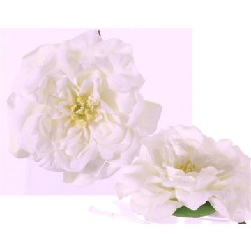 Deko Rosenblüte SASKIA, treibend, creme, 5cm, Ø15cm
