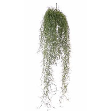 Deko Tillandsia Usneoides LITA, Stecker, crossdoor, grün, 75cm Deko Tillandsia Usneoides LITA, Stecker, crossdoor, grün, 75cm