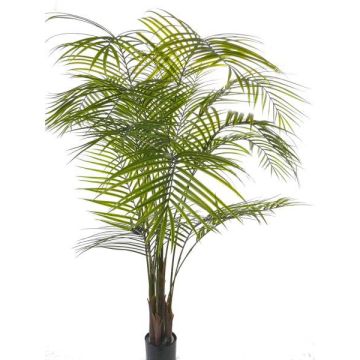 Kunstpalme Areca MELMAN, crossdoor, 175cm