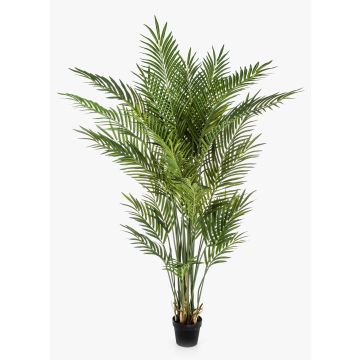 Kunst Areca Palme LUVA, 170cm Kunst Areca Palme LUVA, 170cm