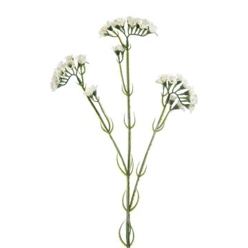 Unechter Strandflieder MOBALA, weiß, 60cm