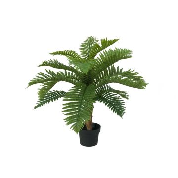 Dekopalme Cycas ELYON, 70cm Dekopalme Cycas ELYON, 70cm