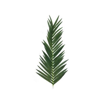 Plastik Kokos Palmwedel GLORINA, 150cm