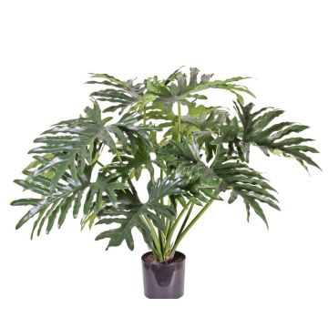 Kunst Philodendron Selloum SILAS, 80cm