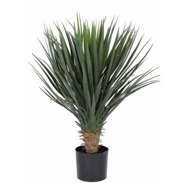 Deko Yucca Rostrata DRAKE, 80cm