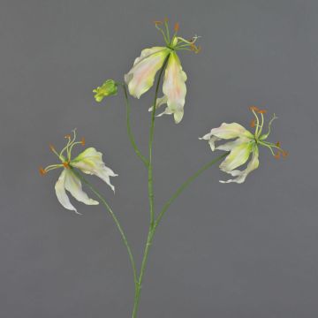 Deko Gloriosa TIANA, creme-grün-rosa, 85cm, Ø9-10cm