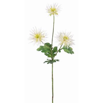 Deko Chrysantheme SOLVIE, weiß-gelb, 75cm, Ø11-12cm Deko Chrysantheme SOLVIE, weiß-gelb, 75cm, Ø11-12cm
