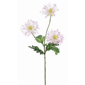 Deko Chrysantheme SOLVIE, weiß-rosa, 75cm, Ø11-12cm Deko Chrysantheme SOLVIE, weiß-rosa, 75cm, Ø11-12cm