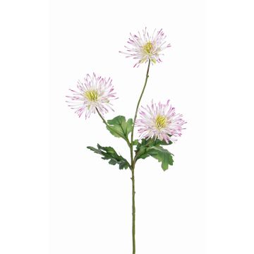 Deko Chrysantheme SOLVIE, weiß-rosa, 75cm, Ø11-12cm
