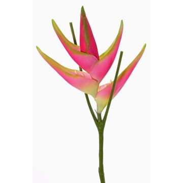 Kunst Helikonien Blüte TOMKE, pink-grün, 80cm, Ø18cm Kunst Helikonien Blüte TOMKE, pink-grün, 80cm, Ø18cm