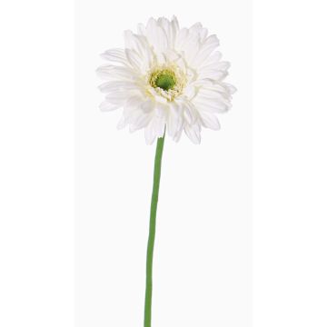 Künstliche Gerbera HELLI, creme, 65cm, Ø12cm Künstliche Gerbera HELLI, creme, 65cm, Ø12cm