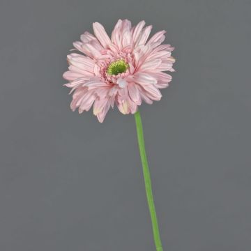 Künstliche Gerbera HELLI, rosa, 65cm, Ø12cm