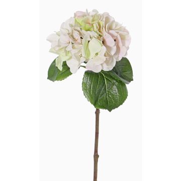 Künstliche Hortensie CHIDORI, creme-rosa-grün, 60cm, Ø18cm Künstliche Hortensie CHIDORI, creme-rosa-grün, 60cm, Ø18cm