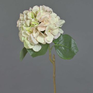 Künstliche Hortensie CHIDORI, creme-rosa-grün, 60cm, Ø18cm