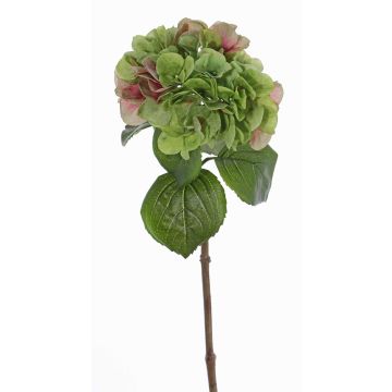 Künstliche Hortensie CHIDORI, grün-rosa, 60cm, Ø18cm Künstliche Hortensie CHIDORI, grün-rosa, 60cm, Ø18cm