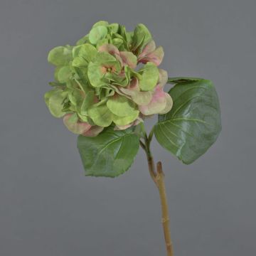 Künstliche Hortensie CHIDORI, grün-rosa, 60cm, Ø18cm