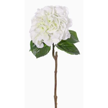 Künstliche Hortensie CHIDORI, weiß-grün, 60cm, Ø18cm Künstliche Hortensie CHIDORI, weiß-grün, 60cm, Ø18cm