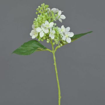 Kunst Hortensie CHABY, weiß-grün, 30cm, Ø9cm