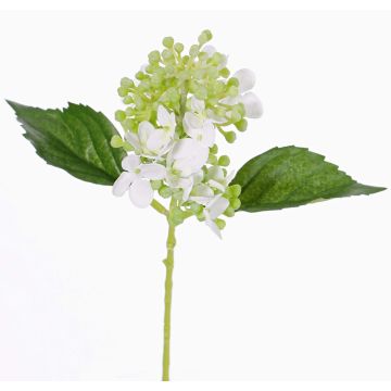 Kunst Hortensie CHABY, weiß-grün, 30cm, Ø9cm Kunst Hortensie CHABY, weiß-grün, 30cm, Ø9cm