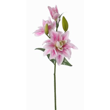 Kunstblume Lilie ISALIE, rosa-weiß, 80cm, Ø13-16cm Kunstblume Lilie ISALIE, rosa-weiß, 80cm, Ø13-16cm