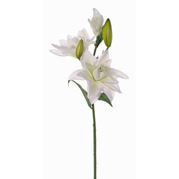 Kunstblume Lilie ISALIE, weiß-grün, 80cm, Ø13-16cm Kunstblume Lilie ISALIE, weiß-grün, 80cm, Ø13-16cm
