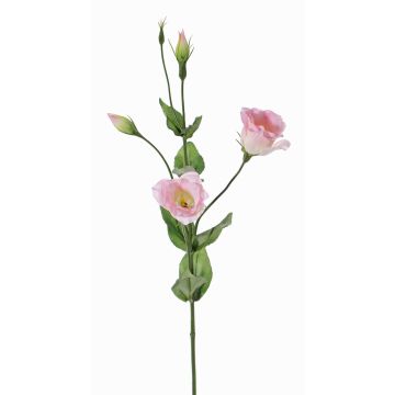 Kunst Lisianthus JUDIKA, rosa-weiß-grün, 70cm, Ø6-7cm Kunst Lisianthus JUDIKA, rosa-weiß-grün, 70cm, Ø6-7cm