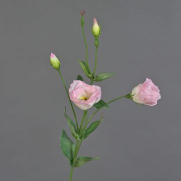 Kunst Lisianthus JUDIKA, rosa-weiß-grün, 70cm, Ø6-7cm