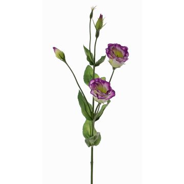 Kunst Lisianthus JUDIKA, violett-weiß-grün, 70cm, Ø6-7cm Kunst Lisianthus JUDIKA, violett-weiß-grün, 70cm, Ø6-7cm