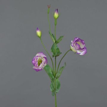 Kunst Lisianthus JUDIKA, violett-weiß-grün, 70cm, Ø6-7cm