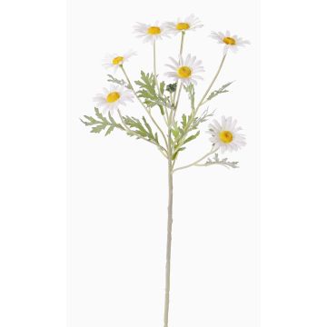 Deko Margerite LEONIA, weiß, 60cm, Ø6cm Deko Margerite LEONIA, weiß, 60cm, Ø6cm
