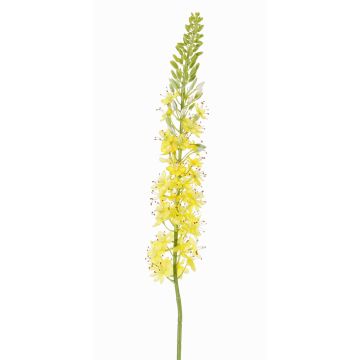 Plastik Steppenkerze SELINA, gelb-orange, 105cm, Ø9cm Plastik Steppenkerze SELINA, gelb-orange, 105cm, Ø9cm