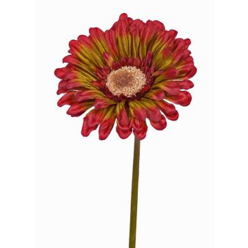 Kunst Gerbera ANNEMARIE, rot-grün, 50cm, Ø10cm Kunst Gerbera ANNEMARIE, rot-grün, 50cm, Ø10cm