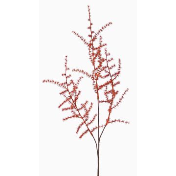 Deko Asparagus acutifolius Zweig JOCHEN, orange, 70cm Deko Asparagus acutifolius Zweig JOCHEN, orange, 70cm